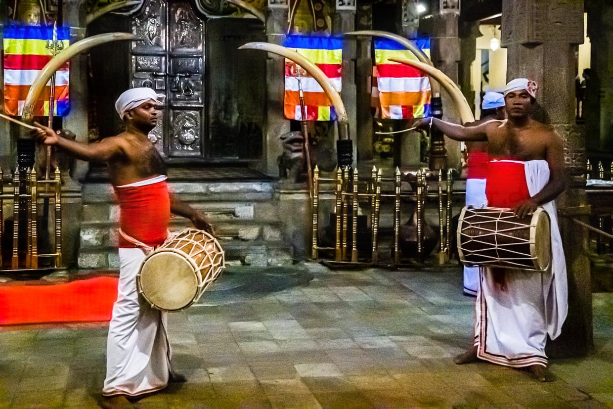 Im geräumigen Eingangsbereich des Zahntempels von Kandy wird von Musikern getrommelt, die diese Kunstform von ihren Vätern übernommen haben, während sich oben, wo nicht fotografiert werden darf, die Gläubigen vor dem Reliquienschrein drängeln / © Foto: Georg Berg