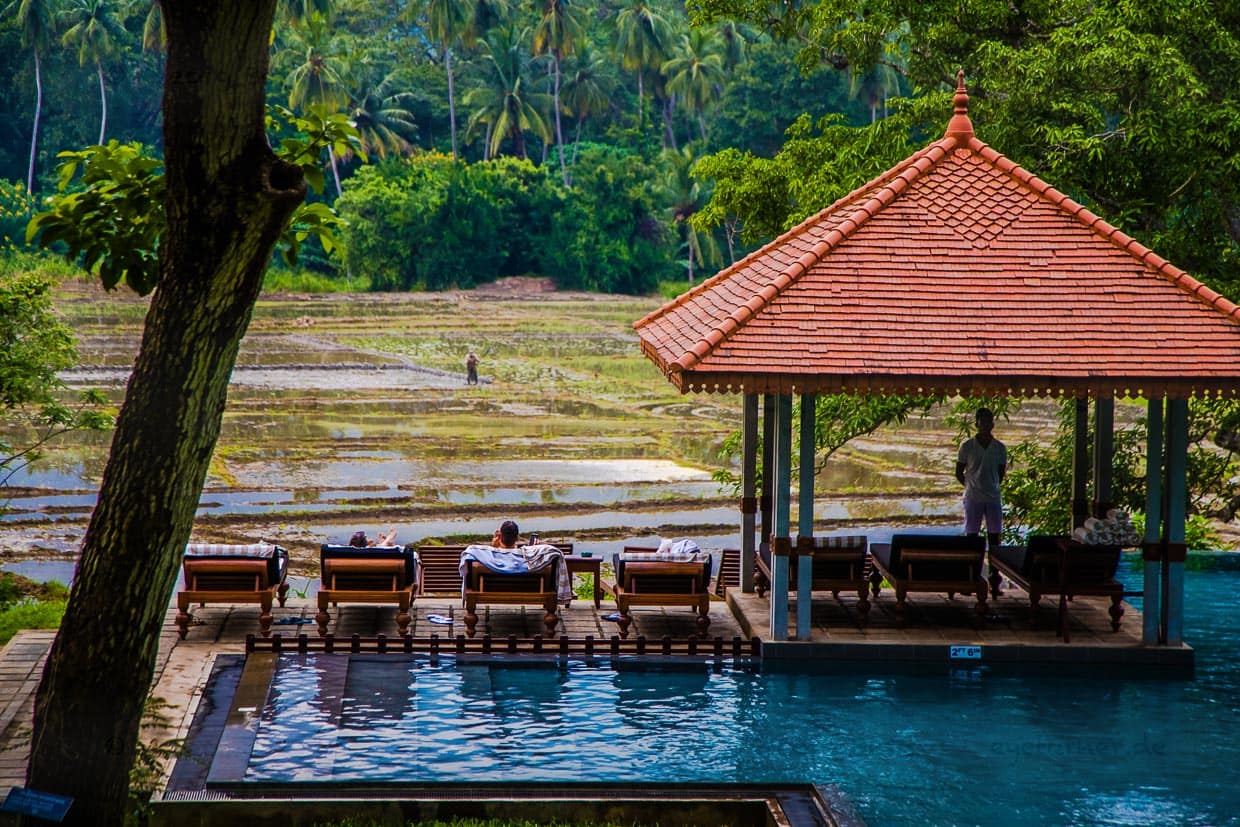 Vom Swimmingpool hat man freien Blick auf die Reisfelder / © Foto: Georg Berg