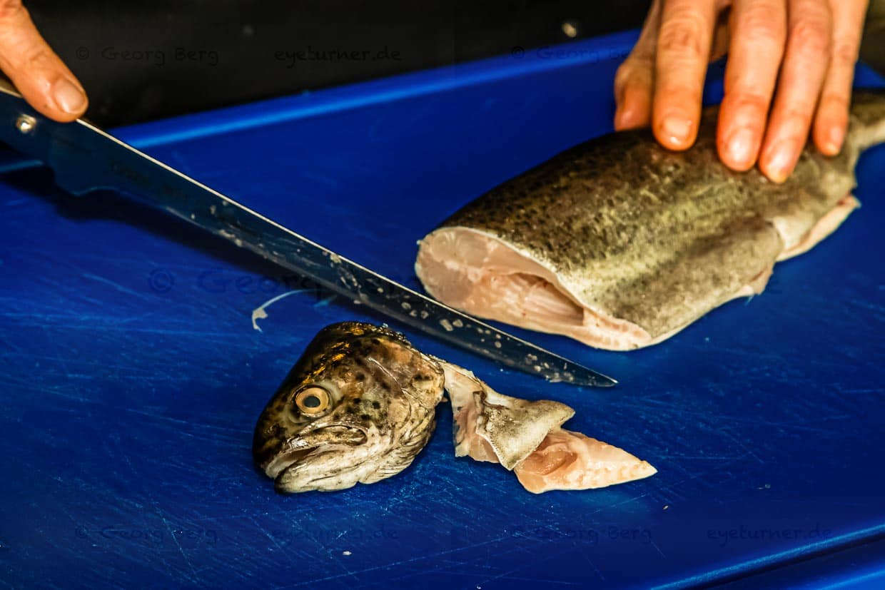 Gelernt bei Lászlo Papdi: Nach den Flossen wird der Kopf der Forelle abgetrennt / © Foto: Georg Berg