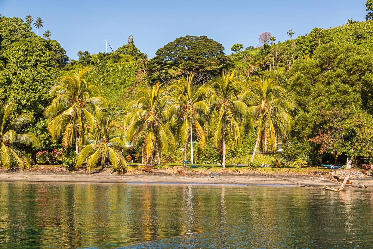 Palmen und Haus-Ruinen sind Zeugnisse der einst prachtvollen Strandpromenade von Kieta. Hier residierten die wohlhabenden Angestellten der im Landesinneren liegenden Panguna Kupfermine / © Foto: Georg Berg