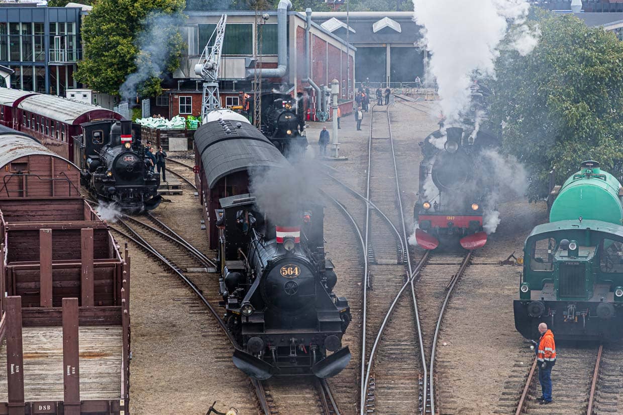 Dampflokomotiventreffen im Eisenbahnmuseum Odense (Jernbanemuseum) in Odense, Dänemark. Gut möglich, dass eines dieser Dampfrösser schon mal nach Mölle gefahren ist / © Foto: Georg Berg