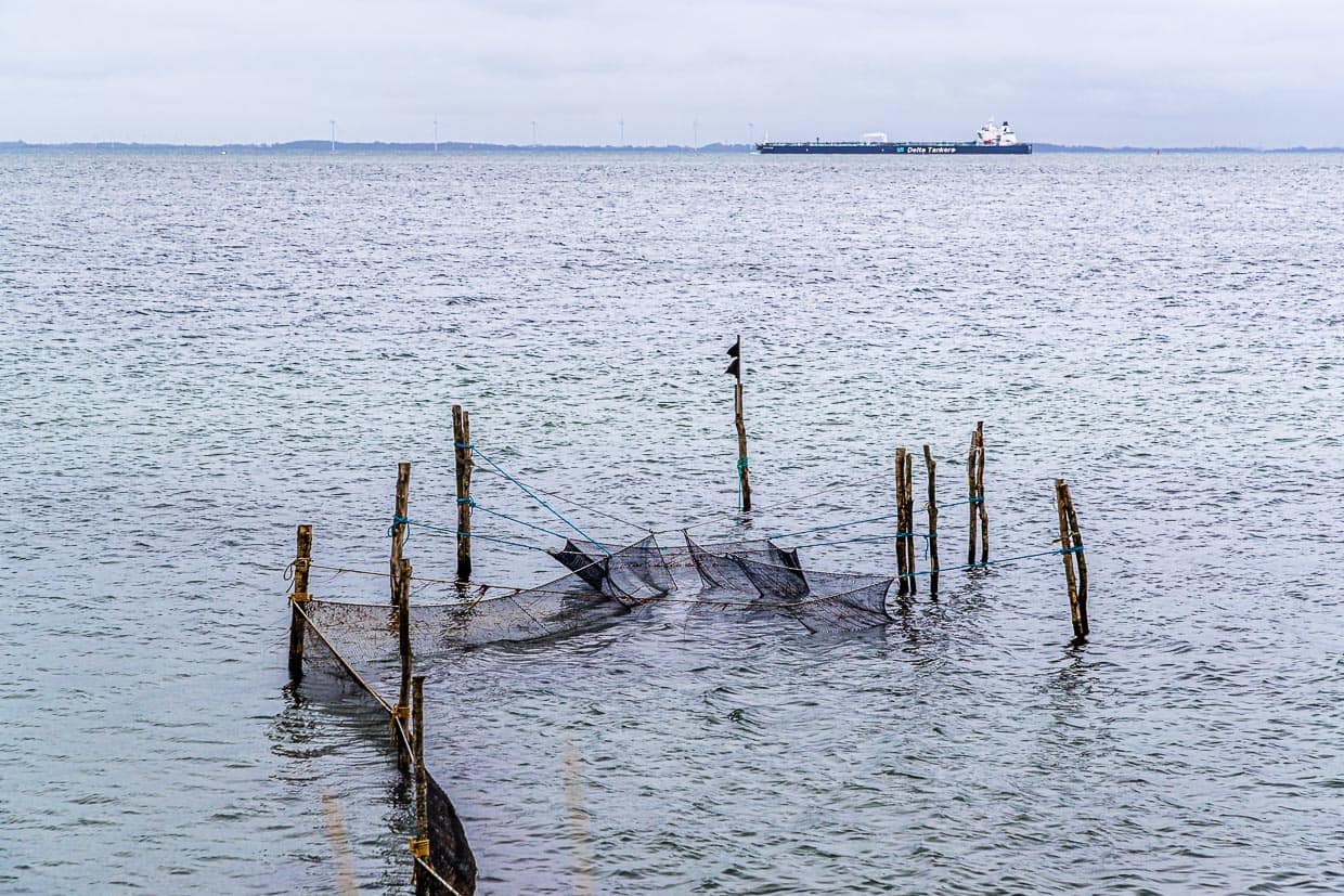 „Schiffe gucken“ geht sehr gut auf diesem Abschnitt der Wanderung von Spodsbjerg Richtung Tranekær / © Foto: Georg Berg