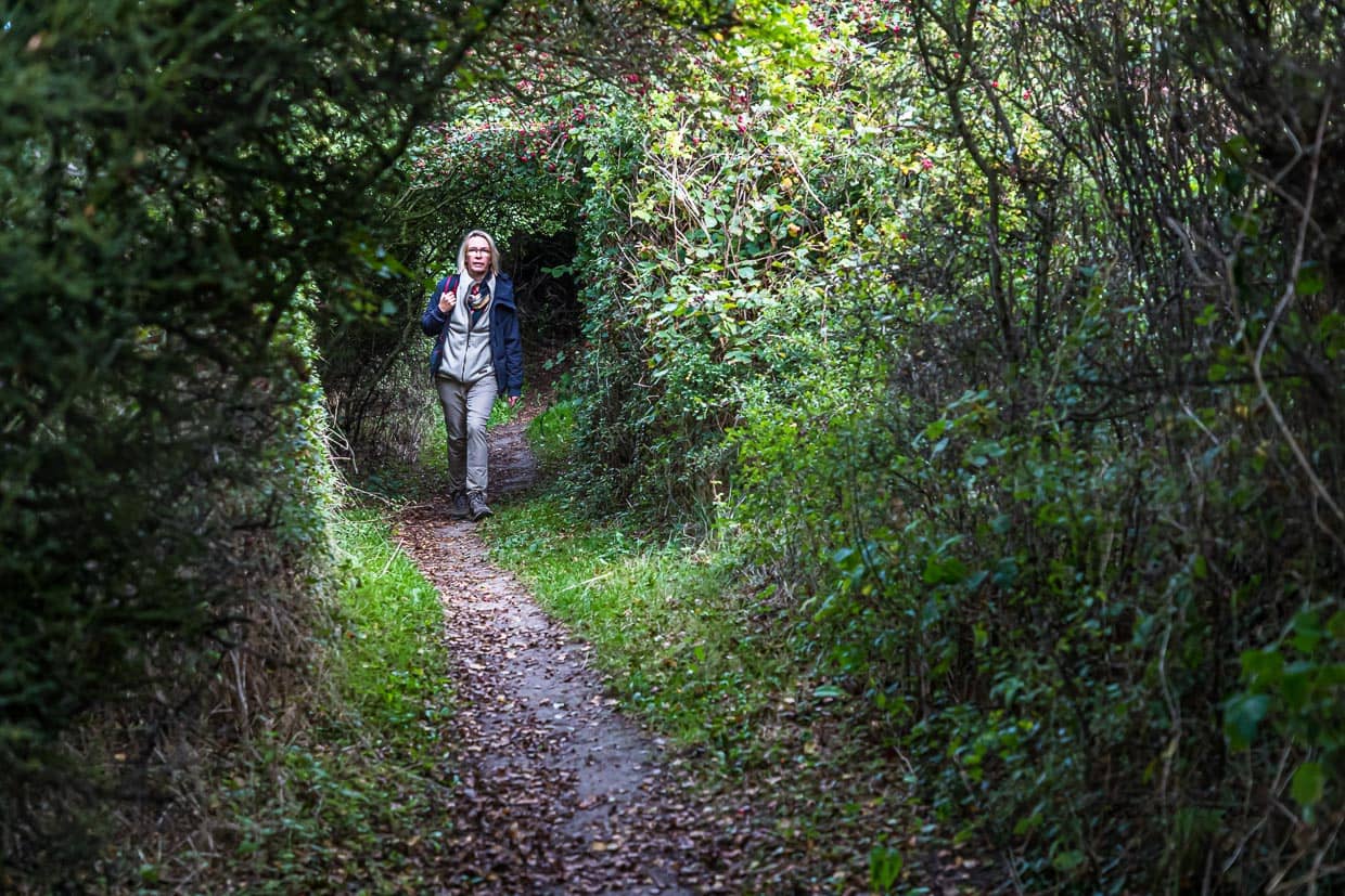 Auf den Hohlwegen ist das Meer nur noch zu hören. Auf den Dächern der Hohlwege lassen sich ganze Vogelschwärme nieder / © Foto: Georg Berg