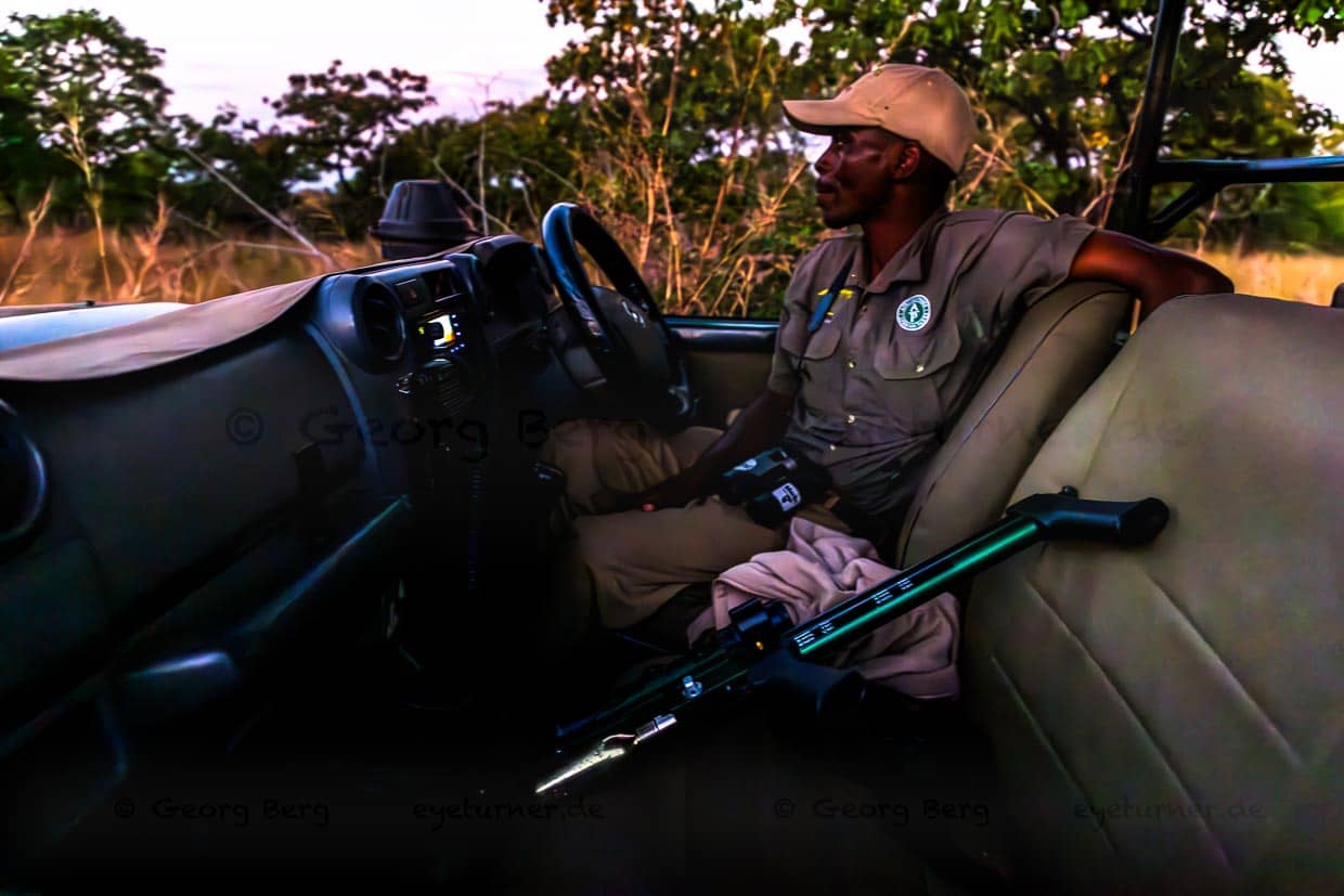 Ranger von African Parks im Geländewagen. Mit dem Betäubungsgewehr soll eine Löwin narkotisiert werden / © Foto: Georg Berg
