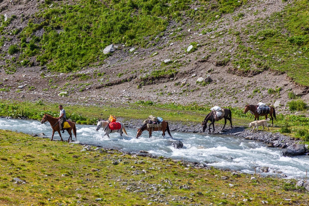 ... aber auch der Packpferde, die das Gepäck durch den Fluss transportieren / © Foto: Georg Berg