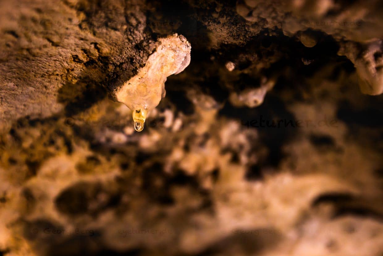 Langsam bildet sich ein Tropfen mineralreichen Wassers und so entsteht ein zunächst strohalmdickes Höhlenmineral, das mehrere Jahre braucht, um einen Millimeter zu wachsen / © Foto: Georg Berg