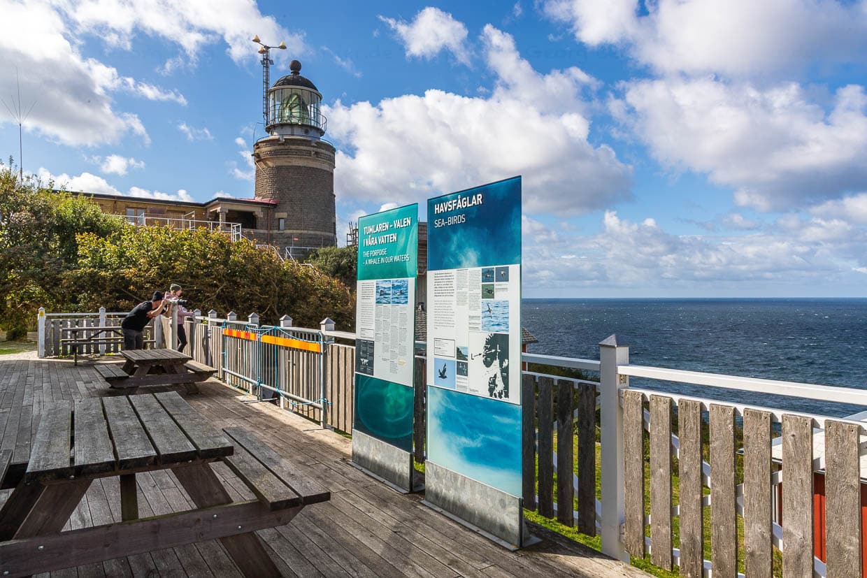 Terrasse am Naturum Kullaberg, Museum und Café, von hier lassen sich auch Wale beobachten / © Foto: Georg Berg
