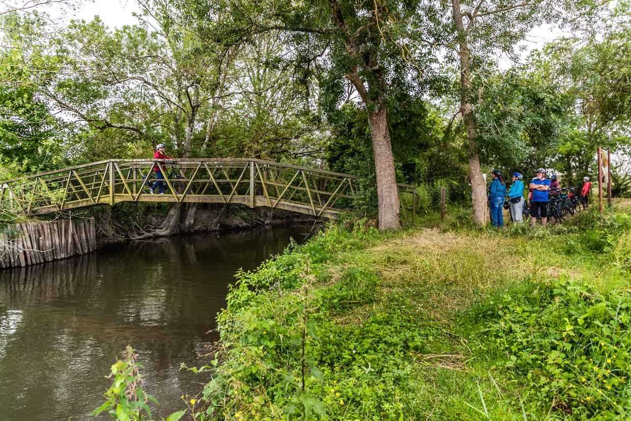 Schmale hölzernen Brücke über den Fluss Charente, der von Fußgängern und Radfahrern benutzt wird. Sie ist Teil des Fernradweges Flow Vélo / © Foto: Georg Berg