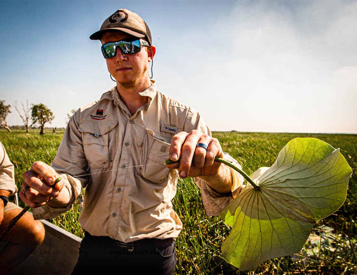 Sam greift ein Lotusblatt, bricht den Stengel durch und zieht aus dem Pflanzensaft einen Faden lang / © Foto: Georg Berg