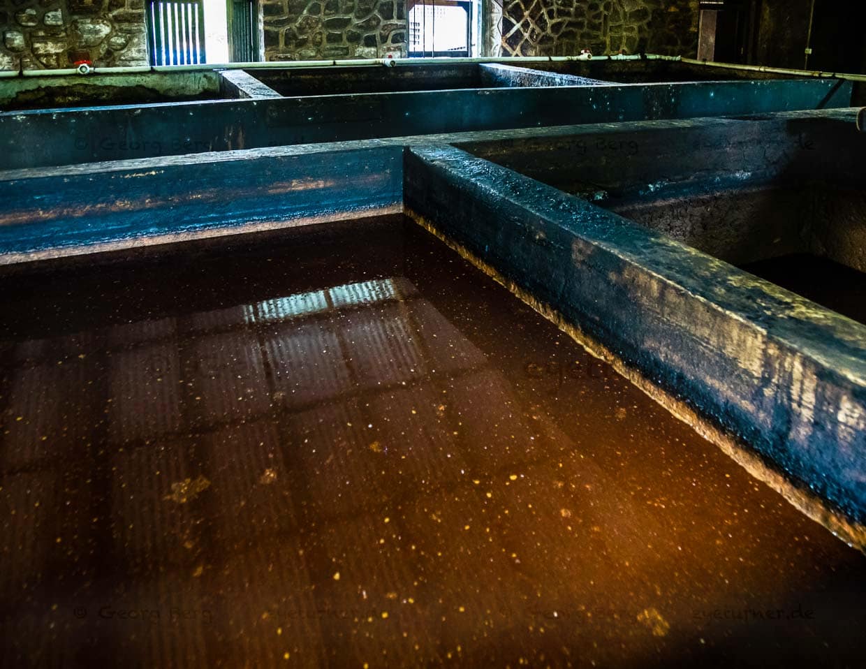 In Betontanks brodelt bei tropischer Raumtemperatur leise acht Tage lang der gärende Zuckerrohrsirup / © Foto: Georg Berg