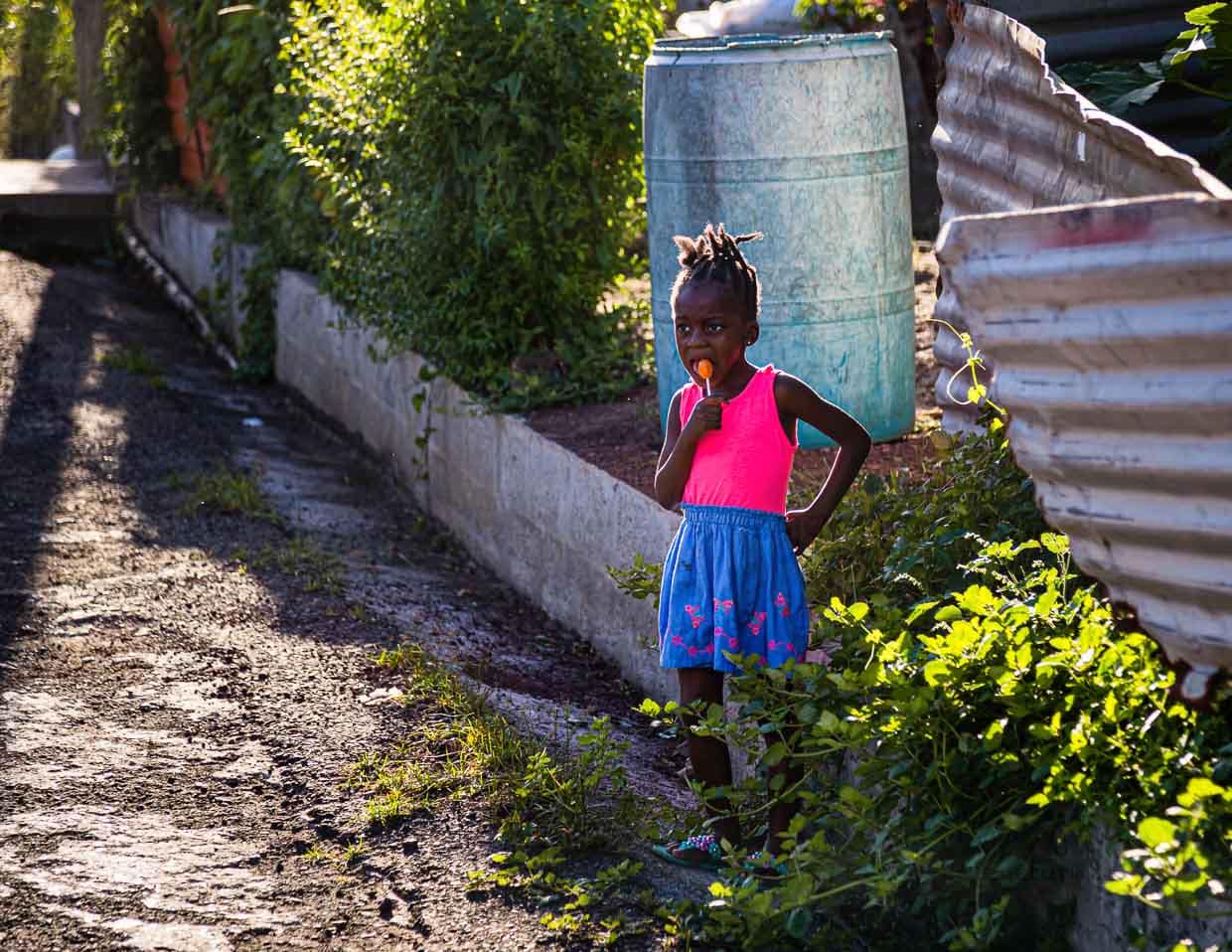 Lollies überzeugen auch die schüchternsten Zuschauer / © Foto: Georg Berg