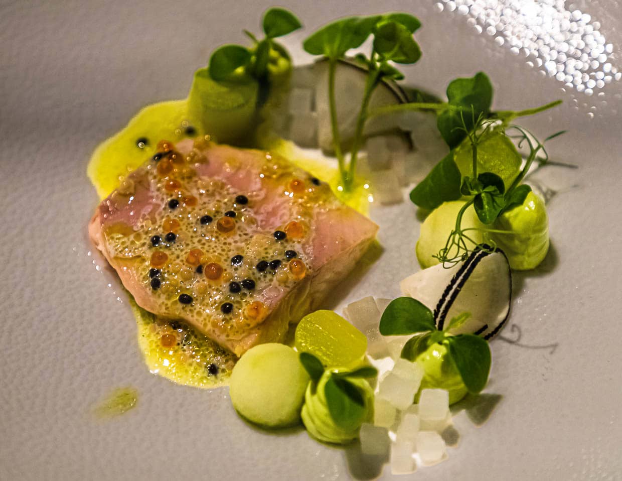Arktische Forelle mit Dill, Apfel und Gurke / © Foto: Georg Berg