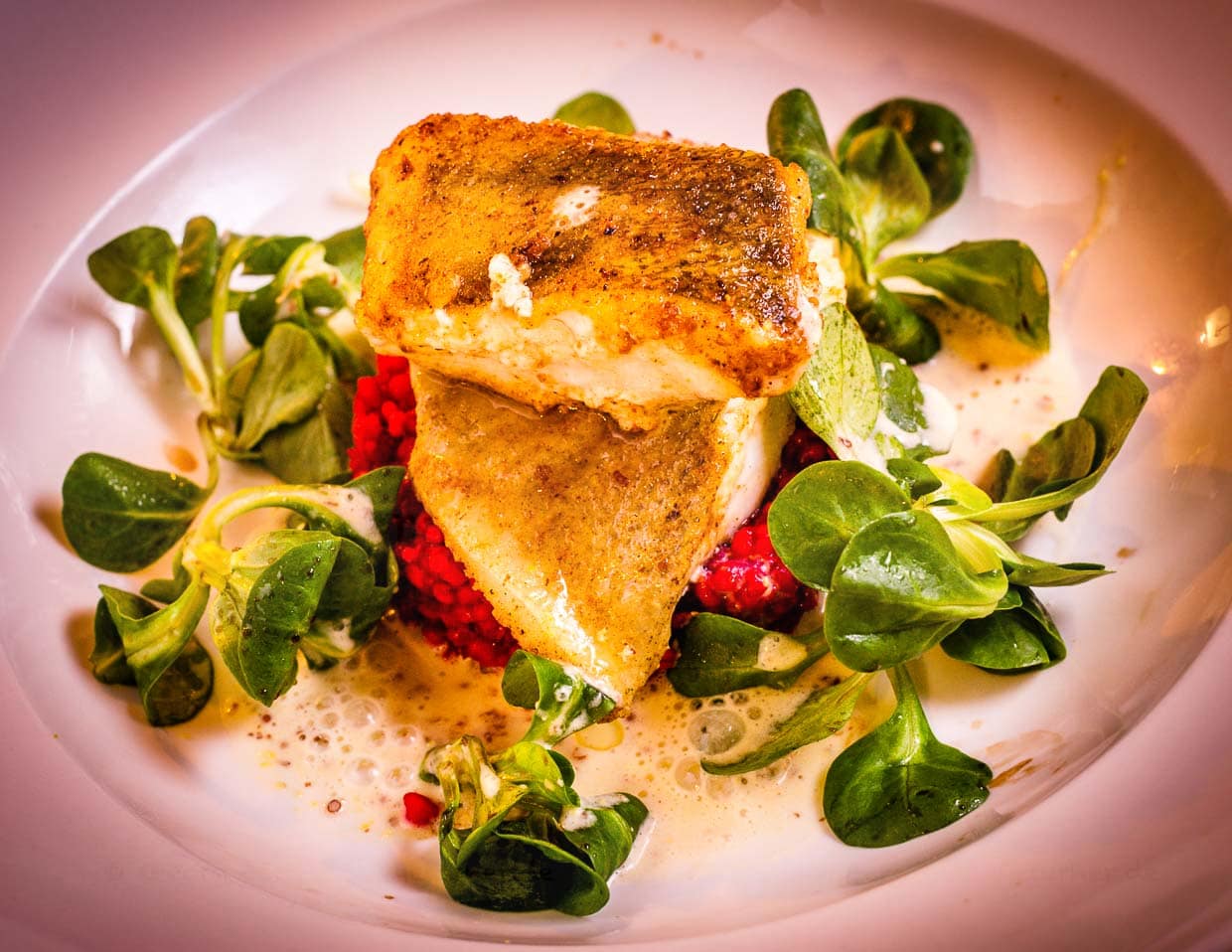 Zander und Barsch auf Rote-Beete-Risotto / © Foto: Georg Berg