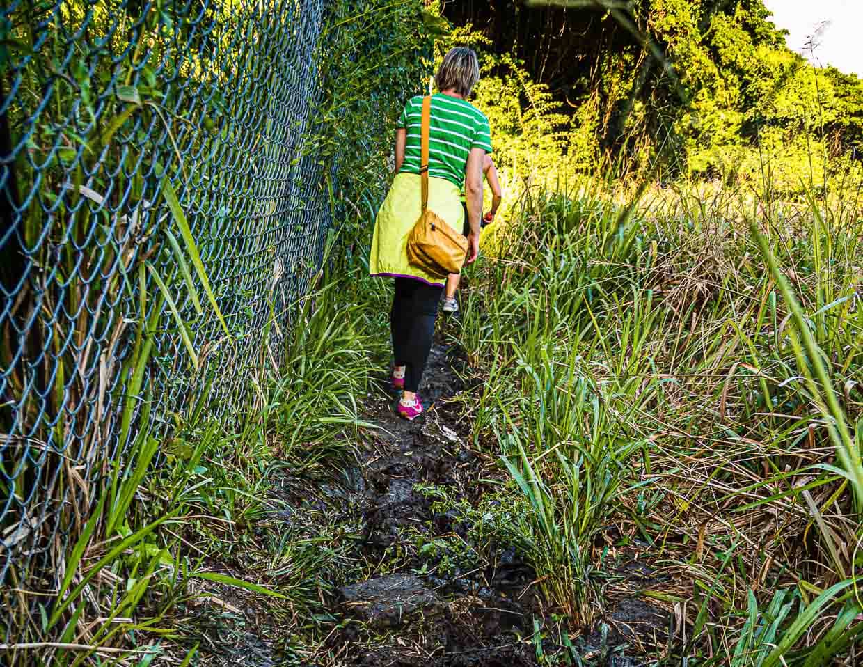 Am Ende eines Trails müssen nicht nur die Schuhe in die Reinigung / © Foto: Georg Berg