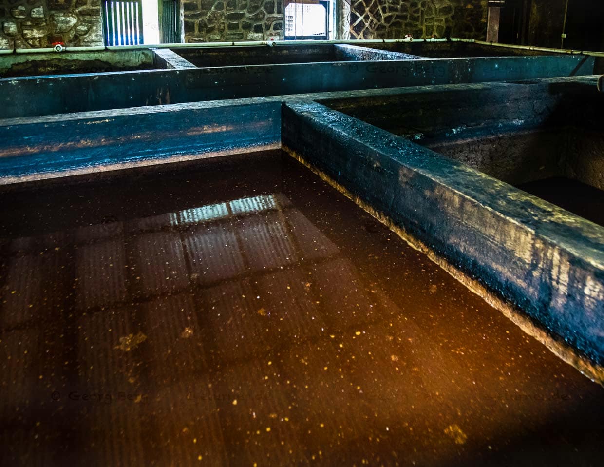 In Betontanks brodelt bei tropischer Raumtemperatur leise acht Tage lang der gärende Zuckerrohrsirup / © Foto: Georg Berg