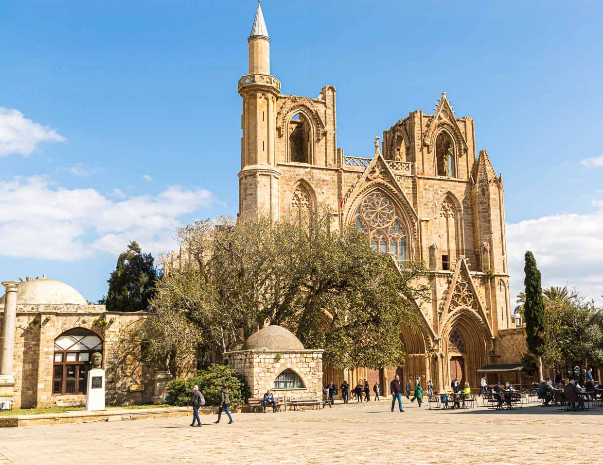 Baum vor der Kathedrale von Famagusta, Nordzypern. Eine Scheinfeige, gepflanzt, so heißt es, im Jahr 1299 zur Einweihung der Kirche. Heute Lala Mustafa Pasha Moschee. Umgewidmet 1571 durch die Ottomanen / © Foto: Georg Berg