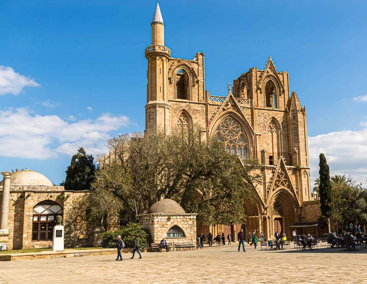 Baum vor der Kathedrale von Famagusta, Nordzypern. Eine Scheinfeige, gepflanzt, so heißt es, im Jahr 1299 zur Einweihung der Kirche. Heute Lala Mustafa Pasha Moschee. Umgewidmet 1571 durch die Ottomanen / © Foto: Georg Berg