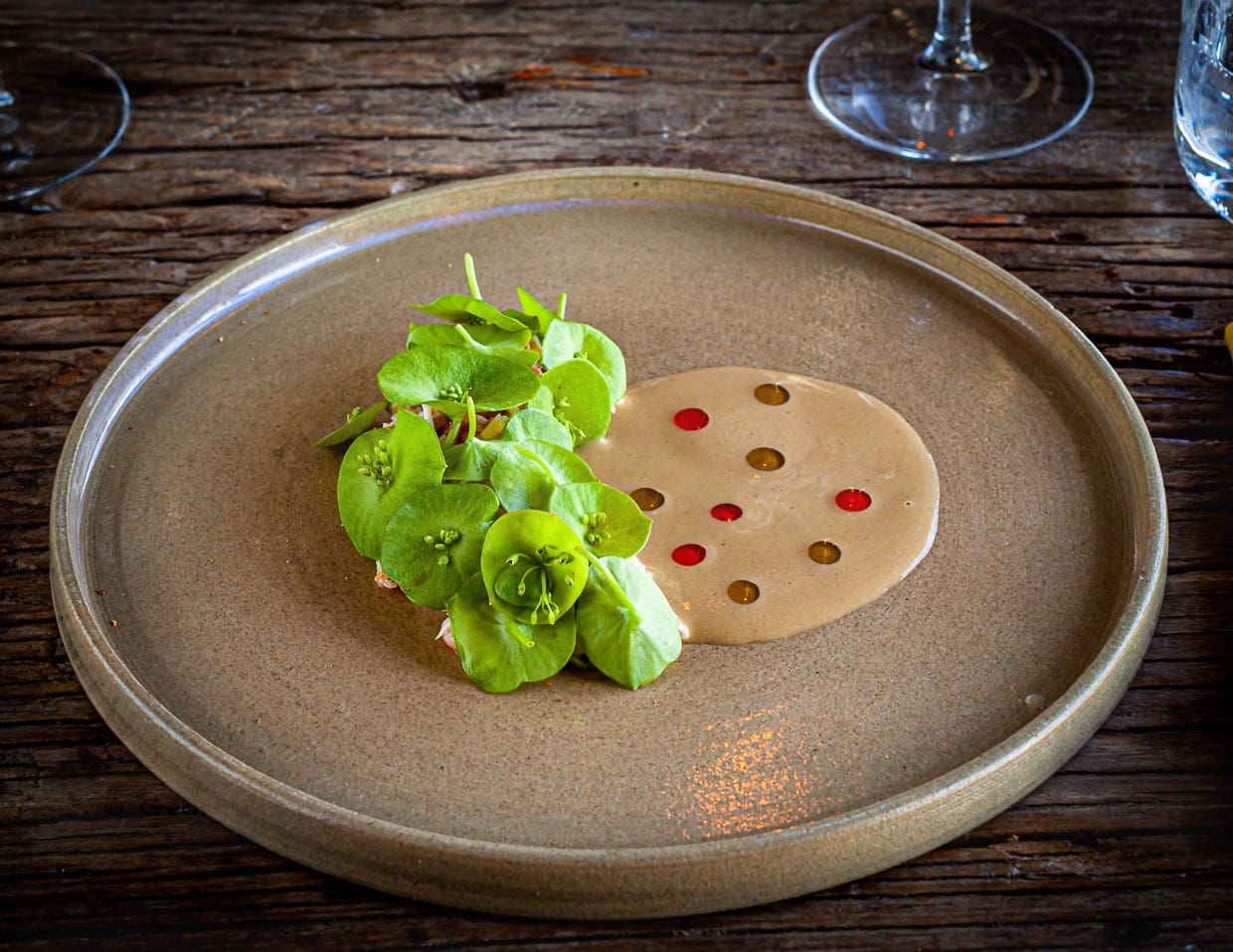 Unter dem grünen Deckmäntelchen verbirgt sich Krabbenfleisch aus dem Kopf der Spinnenkrabbe. Die Soße ist verfeinert mit Mandel- und Pistazienöl / © Foto: Georg Berg