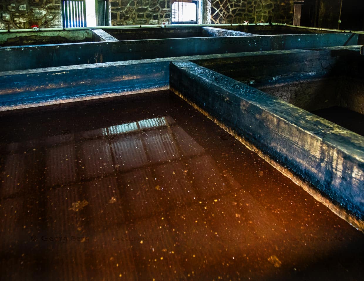 In Betontanks brodelt bei tropischer Raumtemperatur leise acht Tage lang der gärende Zuckerrohrsirup / © Foto: Georg Berg