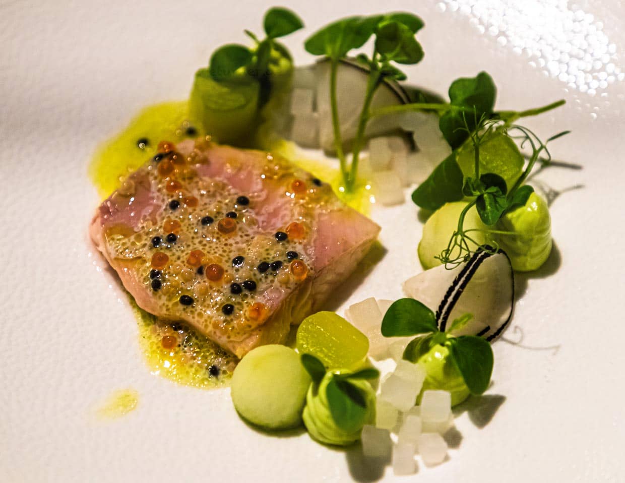 Arktische Forelle mit Dill, Apfel und Gurke / © Foto: Georg Berg