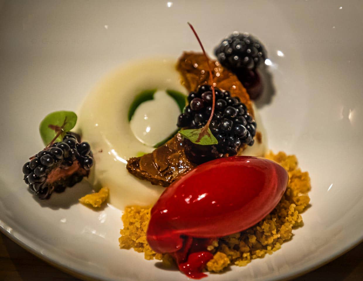 Dessert aus Ziegenmilchjoghurt mit Basilikumöl, Brombeereis und Gel aus Schwarzer Johannisbeere / © Foto: Georg Berg