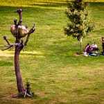"Idee di Pietra“ von Giuseppe Penone, documenta 2012 in Kassel / © Foto: Georg Berg