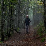 Wanderweg in den Vogesen / © Foto: Georg Berg