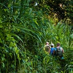 On-on. Die Markierungen des richtigen Trails sind in der üppigen Vegetation nicht immer leicht zu finden / © Foto: Georg Berg