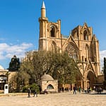 Baum vor der Kathedrale von Famagusta, Nordzypern. Eine Scheinfeige, gepflanzt, so heißt es, im Jahr 1299 zur Einweihung der Kirche. Heute Lala Mustafa Pasha Moschee. Umgewidmet 1571 durch die Ottomanen / © Foto: Georg Berg