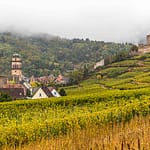 Weinberge und die Burg von Kaysersberg / © Foto: Georg Berg