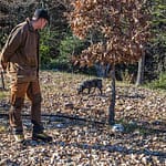 In Frankreich nennt man die oft kreisrunde Stelle in der Nähe eines Baumes (hier Eiche) an der kein Gras wächst, Brullée. Das im Boden wachsende Mycel des kostbaren Speisepilzes verhindert, dass Gras oder andere Pflanzen an der Oberfläche wachsen. Daher ist ein Brullée Anzeiger für Stellen, an denen Trüffel wachsen. Tuber Melanosporum gehört zu den Hexenring bildenden Pilzarten / © Foto: Georg Berg