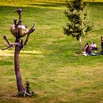 "Idee di Pietra“ von Giuseppe Penone, documenta 2012 in Kassel / © Foto: Georg Berg