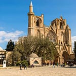 Baum vor der Kathedrale von Famagusta, Nordzypern. Eine Scheinfeige, gepflanzt, so heißt es, im Jahr 1299 zur Einweihung der Kirche. Heute Lala Mustafa Pasha Moschee. Umgewidmet 1571 durch die Ottomanen / © Foto: Georg Berg