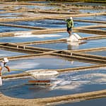Bretagne Guerande: Die Salzbauern bei Ihrer täglichen Arbeit / © Foto: Georg Berg