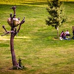 "Idee di Pietra“ von Giuseppe Penone, documenta 2012 in Kassel / © Foto: Georg Berg