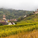 Weinberge und die Burg von Kaysersberg / © Foto: Georg Berg