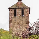 Storch und Tauben auf dem Kessler Turm in Kaysersberg / © Foto: Georg Berg