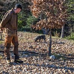 In Frankreich nennt man die oft kreisrunde Stelle in der Nähe eines Baumes (hier Eiche) an der kein Gras wächst, Brullée. Das im Boden wachsende Mycel des kostbaren Speisepilzes verhindert, dass Gras oder andere Pflanzen an der Oberfläche wachsen. Daher ist ein Brullée Anzeiger für Stellen, an denen Trüffel wachsen. Tuber Melanosporum gehört zu den Hexenring bildenden Pilzarten / © Foto: Georg Berg