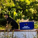 Ungeklärt bleibt, ob der Bierkasten schon bewacht war, als ihn die ersten Hasher zu Gesicht bekamen / © Foto: Georg Berg