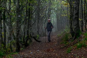 Wanderweg in den Vogesen / © Foto: Georg Berg