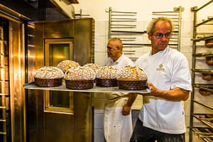 Wie schneebedeckte Kuppeln kommen die Panettone Maron aus dem Ofen. Der Schneezucker bleibt lange crunchig und bildet zum luftigen und mundfüllenden Inneren einen tollen Kontrast / © Foto: Georg Berg