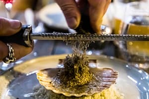 Schwarzer Trüffel mit Jakobsmuschel. Ein Klassiker in der französischen Küche / © Foto: Georg Berg