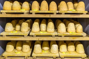 Zincarlin in einem Felsenkeller. Produktion des traditionellen Zincarlin Käses aus dem Muggio Tal im Tessin, Mendrisio. Drei verschiedenen Altersstufen der Tessiner Kästespezialätit werden hier gelagert. Die Käse Zylinder werden fast jeden Tag mit Weißwein abgewaschen / © Foto: Georg Berg