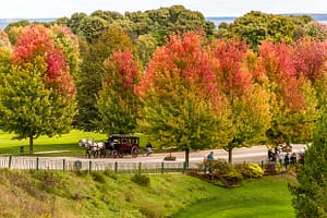 Pferdekutsche und Bäume in herbstlich leuchtenden Farben auf der Cadotte Avenue. Der Zufahrt zum Grand Hotel Mackinac Island / © Foto: Georg Berg