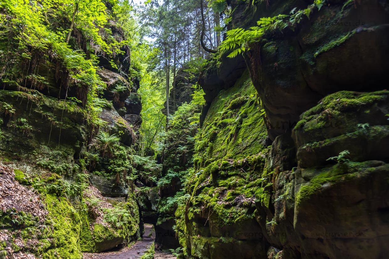 Utterwalder Felsentor. Elbsandsteingebirge. Nationalpark Sächsische Schweiz. Motiv und Inspirationsort des Malers Caspar David Friedrich im 19. Jahrhundert / © Foto: Georg Berg